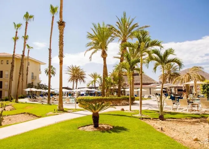 One Bedroom Suite- Casa Dorada At Medano Beach