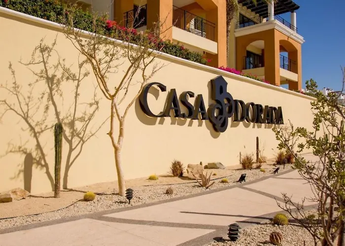 Apartamento One Bedroom Suite- Club Casa Dorada At Medano *